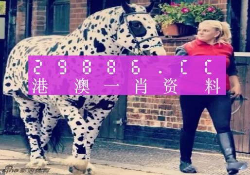 澳彩平肖王中王，一笑一碼的秘密與SEO優(yōu)化策略，澳彩平肖王中王，揭秘一笑一碼背后的SEO優(yōu)化策略