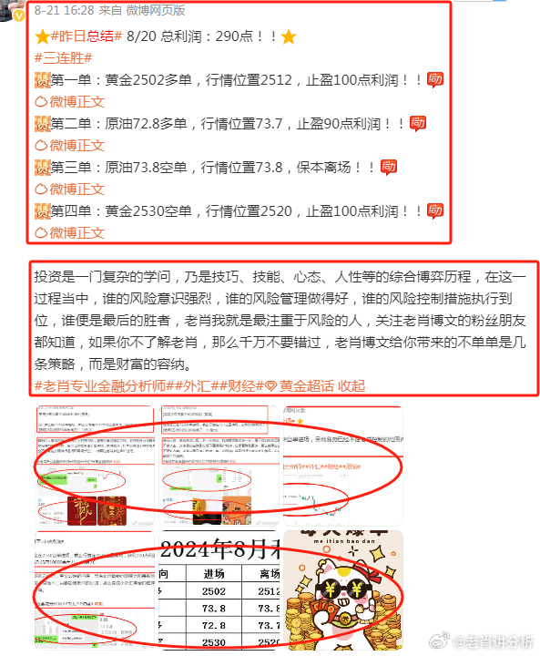 王中王香港一肖，揭秘背后的故事與SEO奧秘，王中王香港一肖背后的故事與SEO奧秘揭秘