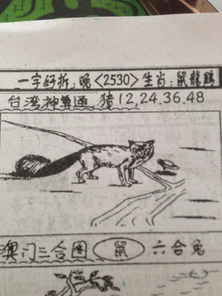 揭秘生肖奧秘，看圖猜一生肖劉伯溫的傳奇故事，揭秘生肖奧秘，劉伯溫傳奇故事中的生肖之謎探索