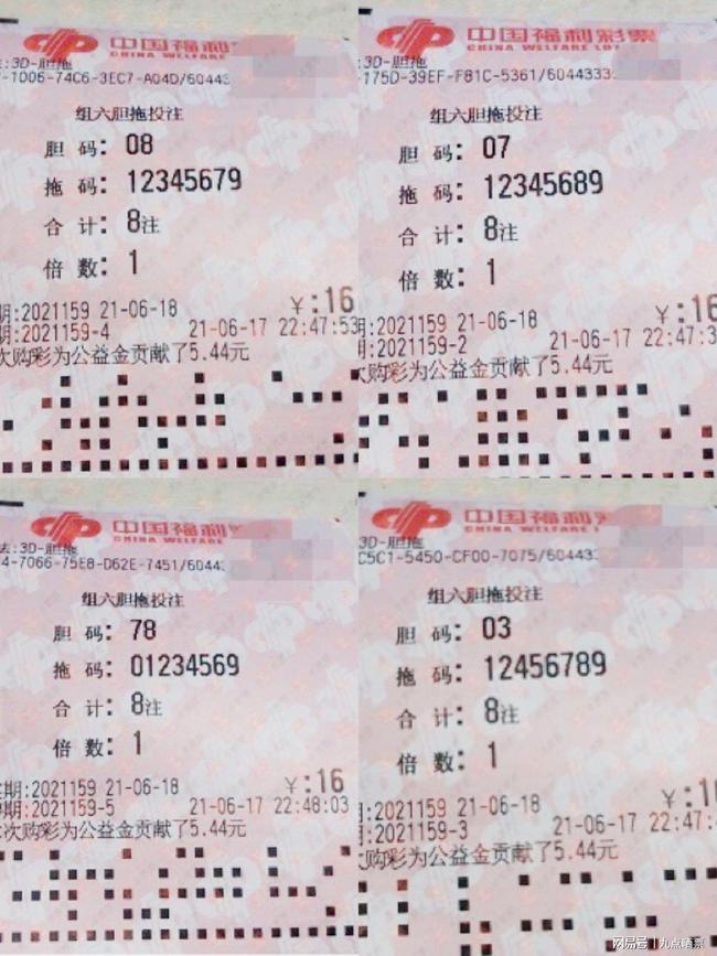 王中王四肖精選一肖新聞，揭秘背后的故事與趨勢，王中王四肖精選揭秘，背后的故事與趨勢聚焦一肖新聞