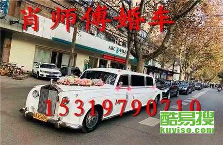 王中王車奪平特一肖免費——深度解析與探索，王中王車奪平特一肖，深度解析與免費探索