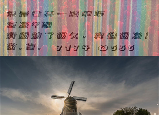 王中王四肖三期必出一期，揭秘彩票背后的秘密策略與技巧，揭秘彩票策略與技巧，王中王四肖三期必出一期之道