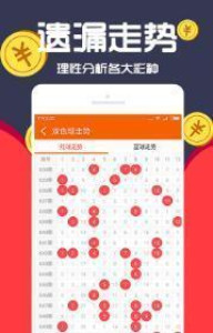 王中王一肖十，深度解析與SEO優(yōu)化策略，王中王一肖十深度解析與SEO優(yōu)化策略探討