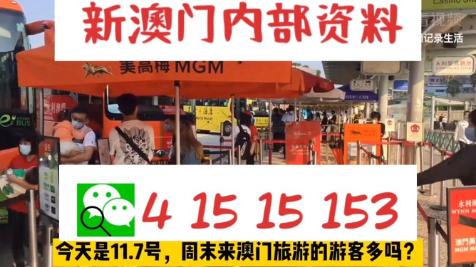 新澳今晚上9點(diǎn)30分的魅力瞬間與精彩展望，新澳之夜，9點(diǎn)30分的魅力瞬間與精彩展望