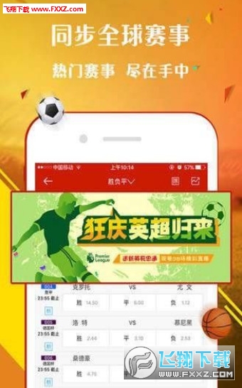 王中王一肖，歡迎您的到來，探索無與倫比的精彩世界，王中王一肖，探索無與倫比的精彩世界之旅