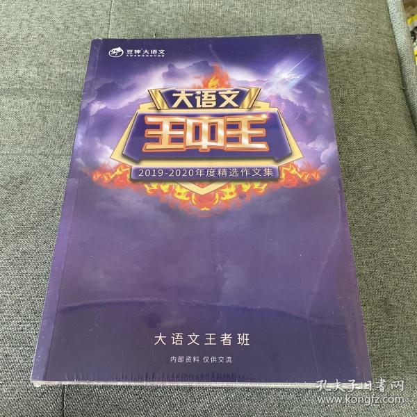 王中王資料2019一肖，揭秘生肖運勢與特性，揭秘生肖運勢與特性，王中王資料2019一肖解析