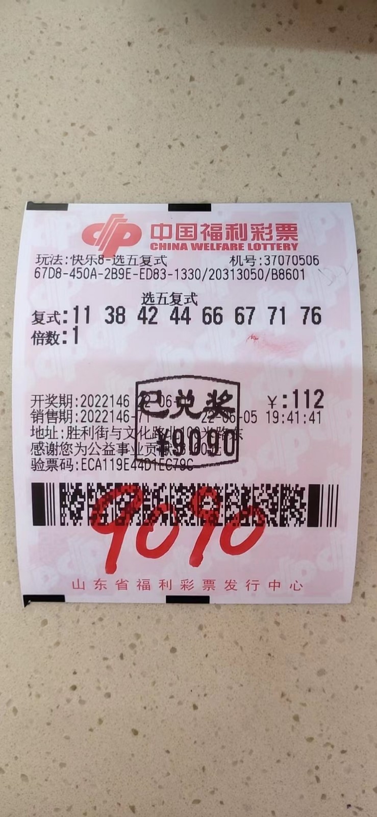 揭秘002期王中王平特一肖，背后的故事與奧秘，揭秘王中王平特一肖背后的故事與奧秘（第002期）
