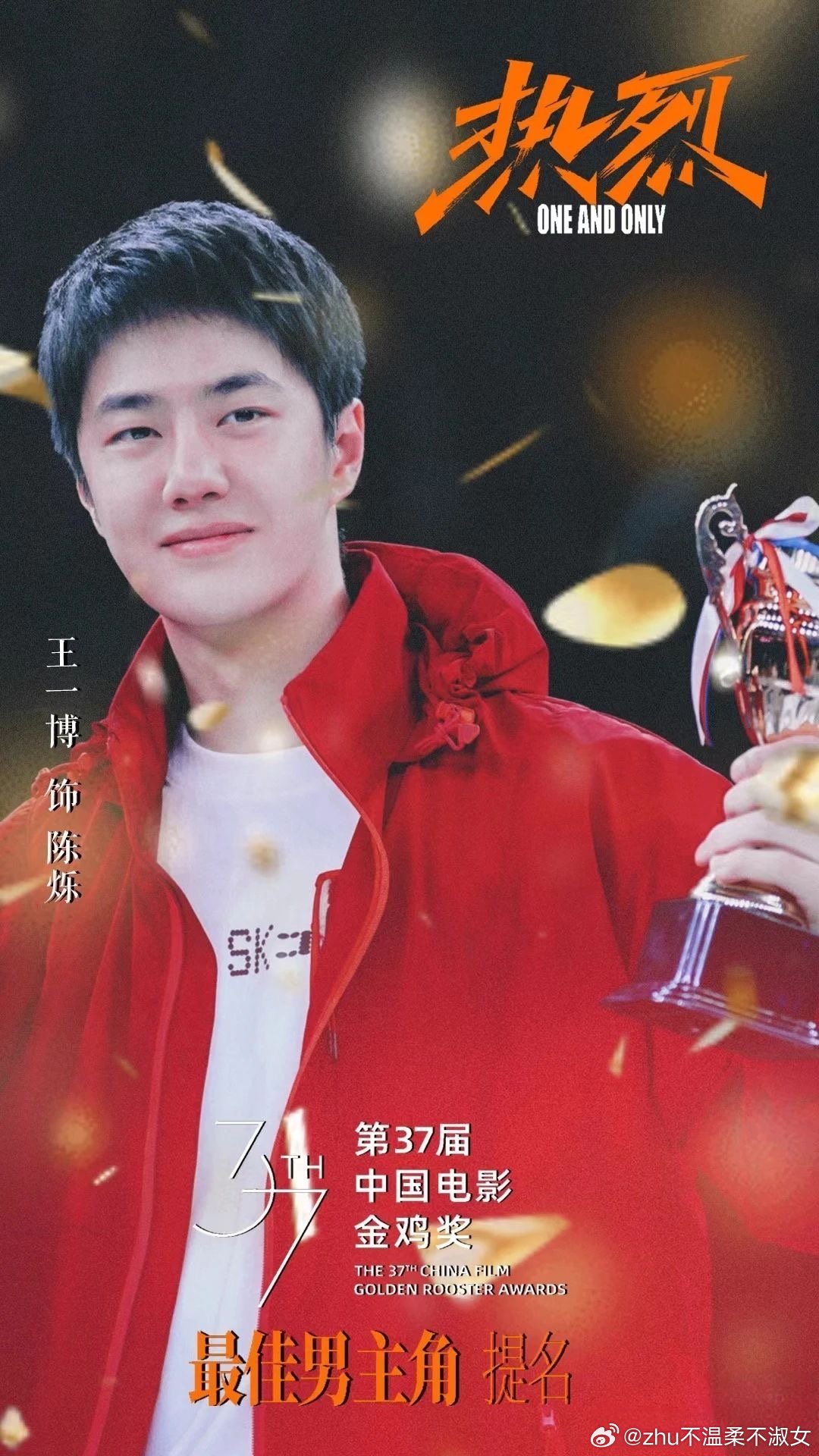 王中王一肖一特一中一中，探尋背后的故事與奧秘，探尋王中王一肖背后的故事與奧秘