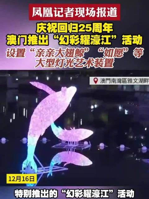 新澳門(mén)六開(kāi)獎(jiǎng)結(jié)果查詢(xún)濠江論壇——快速獲取開(kāi)獎(jiǎng)信息的首選平臺(tái)，澳門(mén)六開(kāi)獎(jiǎng)結(jié)果查詢(xún)首選平臺(tái)，濠江論壇快速更新開(kāi)獎(jiǎng)信息