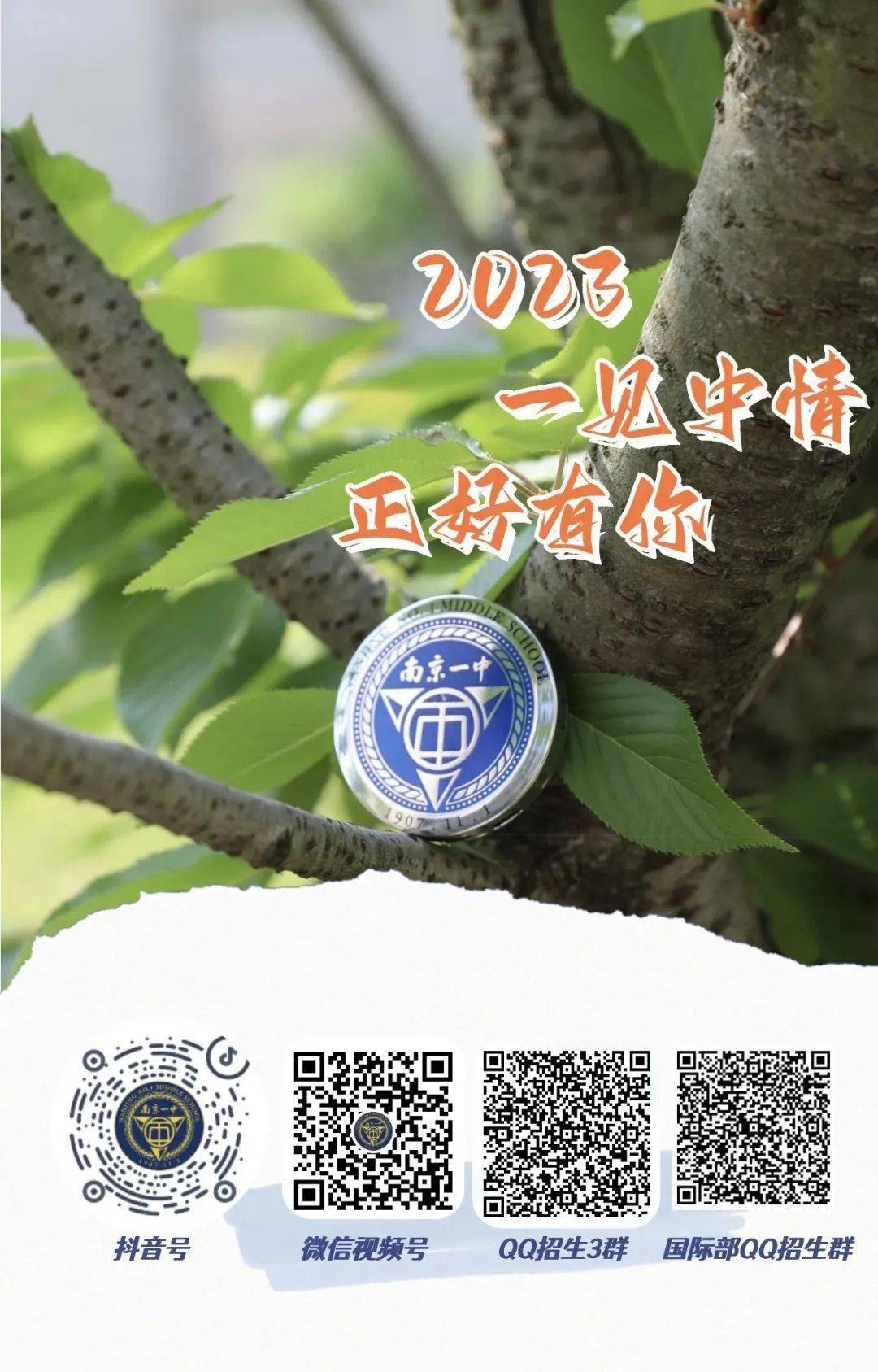 一碼一肖一特一中，揭秘背后的秘密與奧秘，揭秘一碼一肖一特一中背后的秘密奧秘
