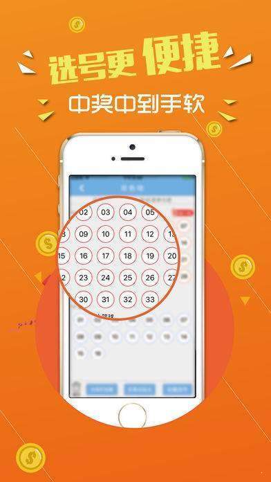揭秘數(shù)字背后的故事，探尋王中王中的秘密與未來展望，揭秘數(shù)字背后的故事，王中王中的秘密與未來展望揭秘數(shù)字背后的故事，探尋王中王的秘密與未來展望