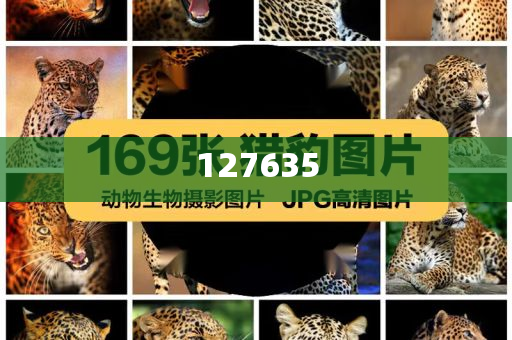 精準(zhǔn)新傳真，揭秘?cái)?shù)字組合7777788888的神秘面紗，揭秘?cái)?shù)字組合7777788888的神秘面紗，精準(zhǔn)新傳真解讀