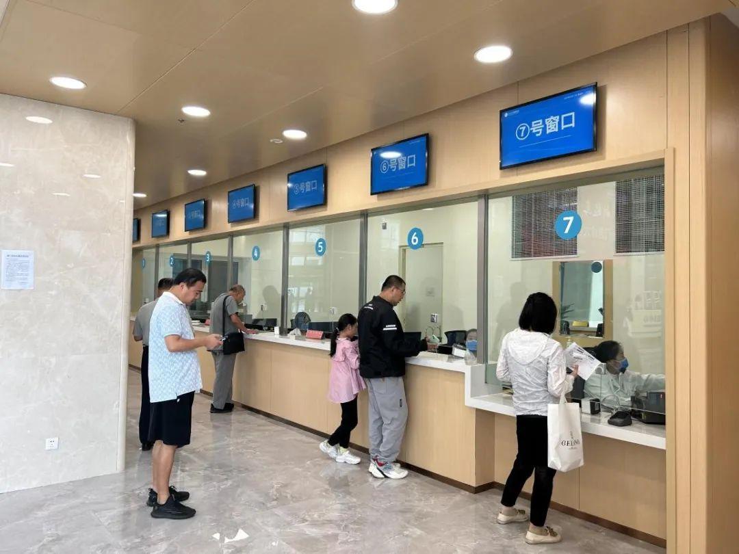 新門內(nèi)部資料免費下載——探索與揭秘，新門內(nèi)部資料揭秘，免費下載與探索之旅