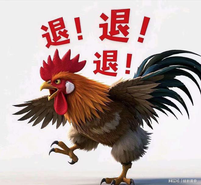 今晚特馬生肖必開資料，深度解析與預(yù)測，深度解析與預(yù)測，今晚特馬生肖必開資料揭秘