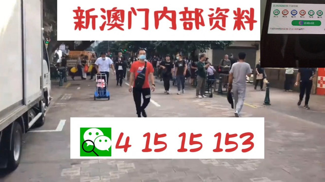 澳門管家婆100中，探索其神秘面紗與獨特魅力，澳門管家婆的神秘面紗與獨特魅力探索