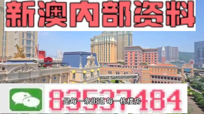 新澳門最精準(zhǔn)正最精準(zhǔn)龍門——探索澳門的魅力與機(jī)遇，澳門魅力與機(jī)遇探索，新澳門最精準(zhǔn)龍門