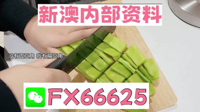 新澳精準(zhǔn)資料免費(fèi)提供，探索與解析，新澳精準(zhǔn)資料解析與探索，免費(fèi)提供的深度解讀