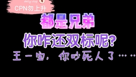 一肖二肖是什么意思——深度解析中國民俗中的生肖文化，深度解析中國民俗中的生肖文化，一肖二肖的含義與故事