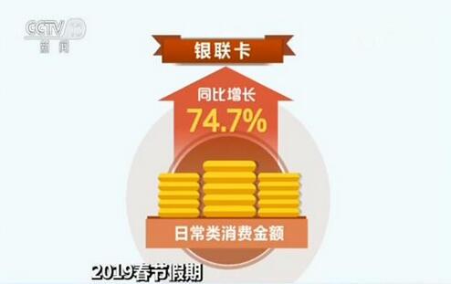 揭秘2019王中王四肖期期準一，探索背后的秘密與真相，揭秘王中王四肖期期準一，探索背后的真相與秘密