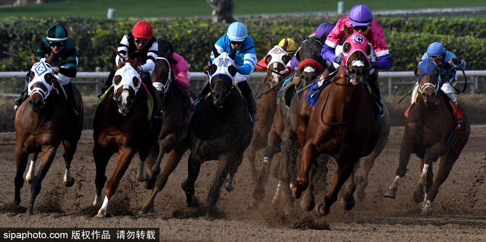 王中王內(nèi)部必中一肖——揭秘彩票背后的秘密，揭秘彩票王中王內(nèi)部必中一肖的神秘秘密