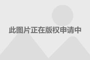 關(guān)于最新消息下的中國海軍055型驅(qū)逐艦進(jìn)展報告，中國海軍055型驅(qū)逐艦最新進(jìn)展報告揭秘