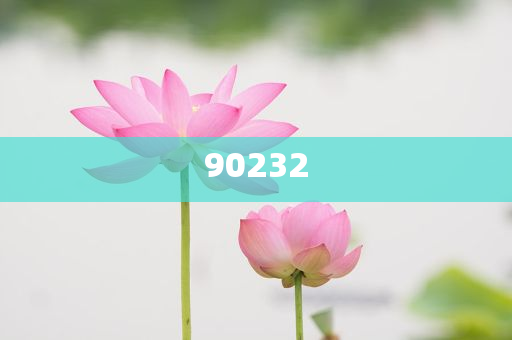 揭秘2025新澳天天開(kāi)好彩大全第78期精彩瞬間，掌握彩票秘籍！，揭秘第78期新澳天天開(kāi)好彩精彩瞬間，彩票秘籍大揭秘！