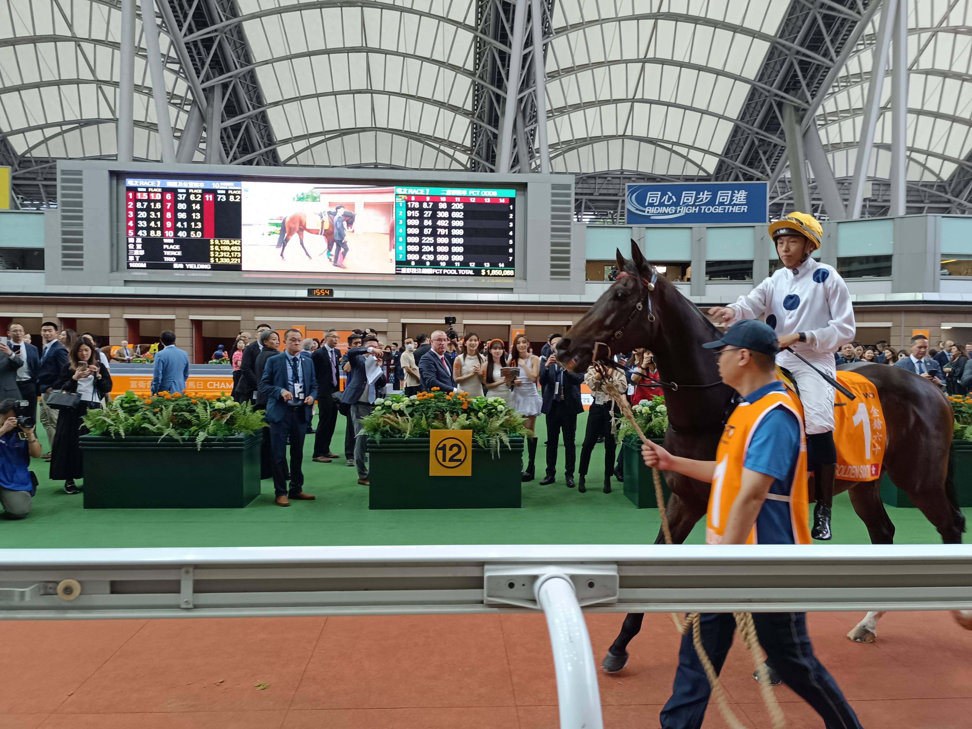 香港王中王一肖中特馬的奧秘與探索，香港王中王一肖中特馬的奧秘探索之旅