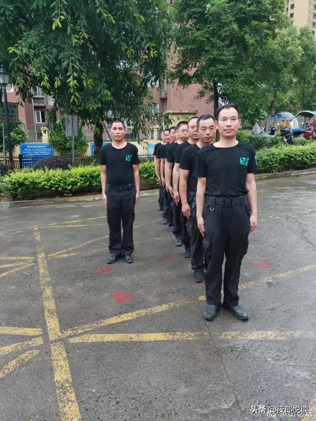 關于尋找一肖二碼中特站的探討，一肖二碼中特站的深度探討與尋找之路
