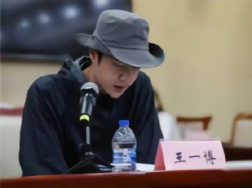 王中王一肖一特一中的詳細(xì)介紹，王中王一肖一特一中的深度解析