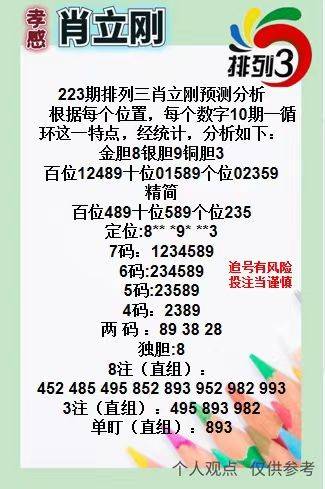 王中王三肖一碼資料，深度解析與SEO優(yōu)化策略，王中王三肖一碼資料深度解析與SEO優(yōu)化策略全攻略