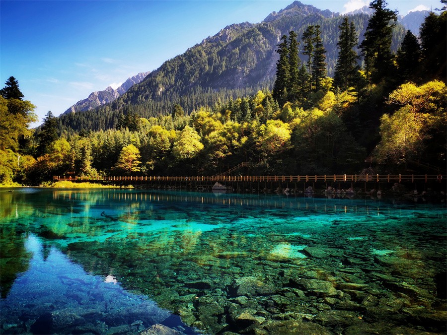 阿壩旅游網，探索九寨溝門票的最佳選擇，阿壩旅游網，探索九寨溝門票的最佳平臺