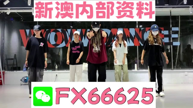 新奧天天免費(fèi)資料大全——探索與優(yōu)化的SEO之旅，新奧天天免費(fèi)資料大全，SEO探索與優(yōu)化之旅