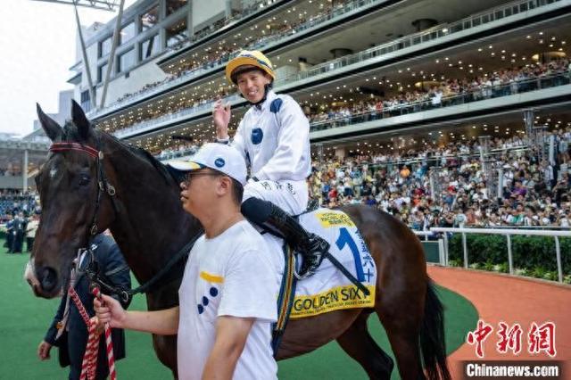 香港特馬王資料免費公開