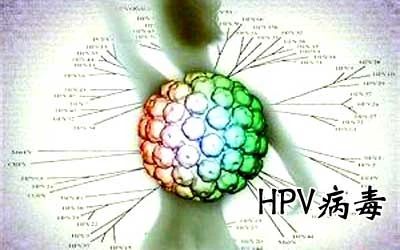 HPV病毒能否徹底清除？深度解析與應(yīng)對(duì)策略，深度解析HPV病毒能否徹底清除，應(yīng)對(duì)策略及應(yīng)對(duì)方法