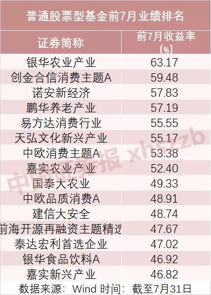 諾安價(jià)值增長(zhǎng)基金的凈值表現(xiàn)與市場(chǎng)洞察，諾安價(jià)值增長(zhǎng)基金凈值表現(xiàn)與市場(chǎng)洞察分析