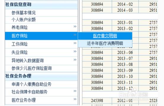 2025新澳門歷史記錄查詢完全指南，澳門歷史記錄查詢完全指南（2025版）