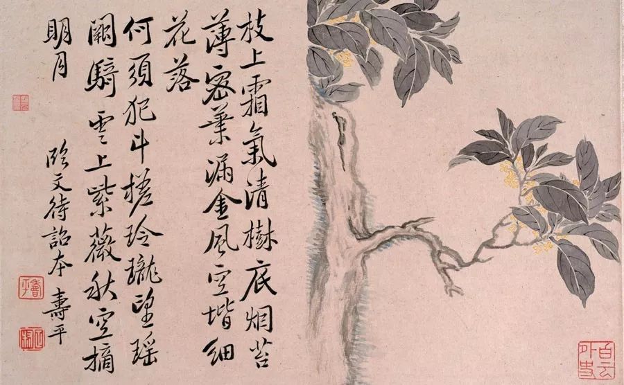 世外挑園，揭秘劉伯溫一肖的神秘魅力，揭秘劉伯溫一肖的神秘魅力，世外挑園之旅
