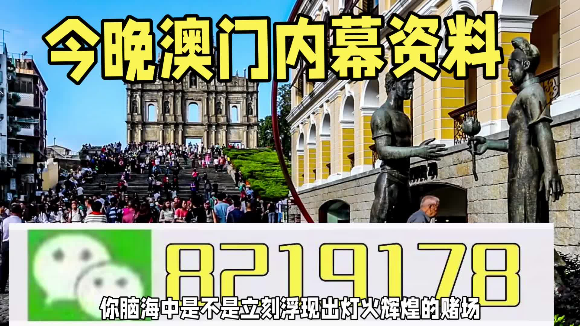 新澳門一肖一特一中，探索與解讀，新澳門一肖一特一中，深度探索與解讀