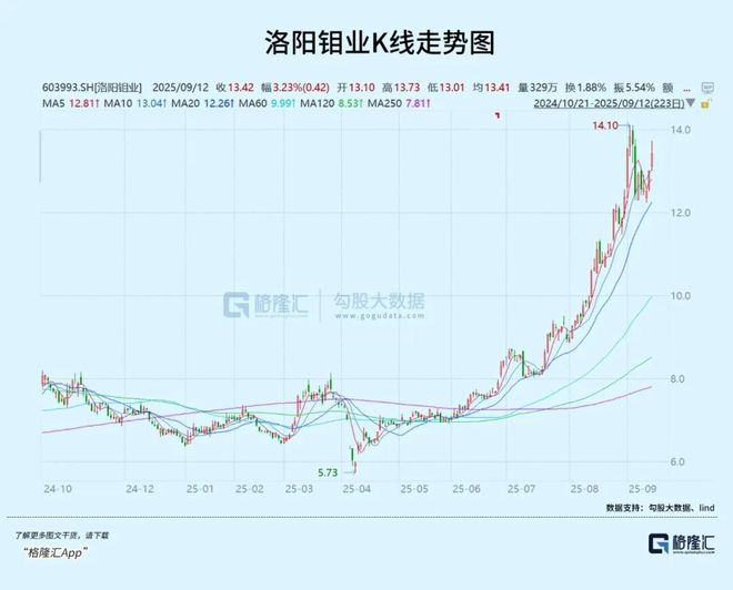 澳門 第132頁