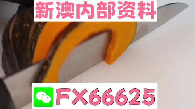 澳門管家婆100精準