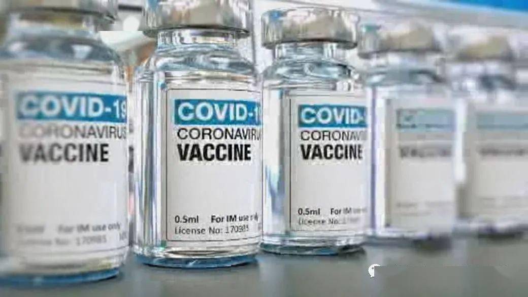 王中王解一肖特，揭秘生肖魅力與獨(dú)特之處，揭秘生肖魅力與獨(dú)特之處，王中王解讀一肖特