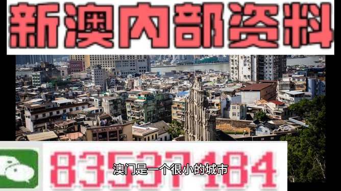 新澳門精準(zhǔn)四肖期準(zhǔn)，探索背后的秘密與策略，澳門精準(zhǔn)四肖期背后的秘密與策略探索