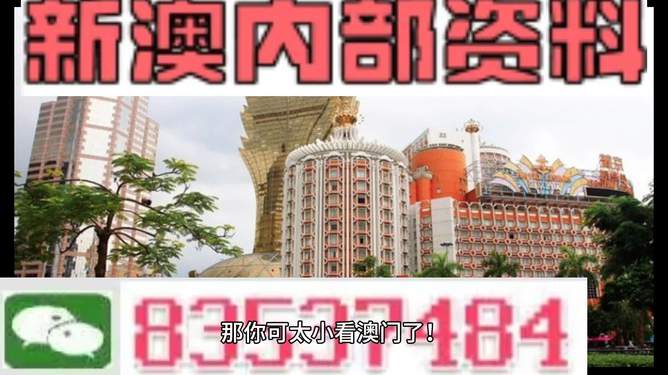 新澳新澳門正版資料，探索與解析，新澳新澳門正版資料深度解析與探索