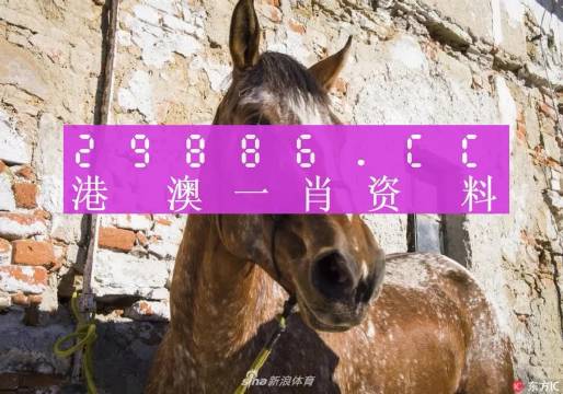 揭秘王中王資料，一肖正特馬的奧秘，揭秘王中王資料與一肖正特馬的神秘面紗