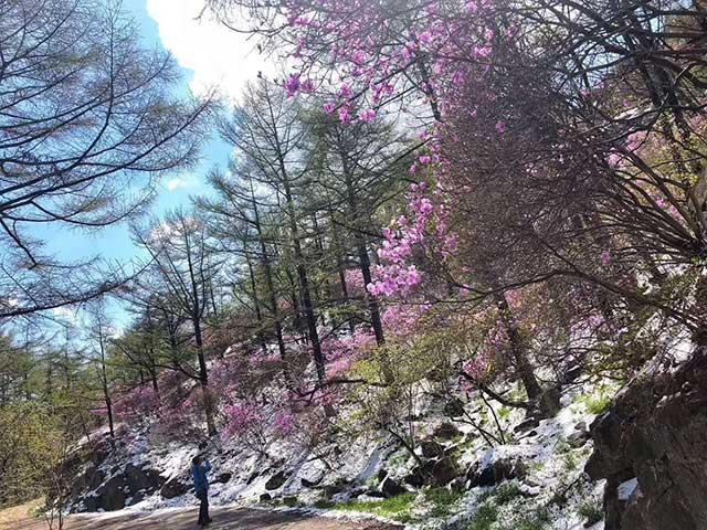 即墨天氣預報，掌握天氣變化，助力生活安排，即墨天氣預報，掌握天氣變化，智能規(guī)劃生活