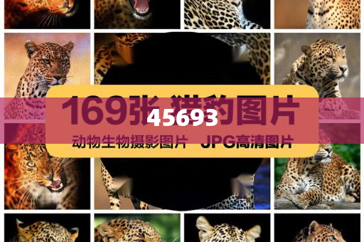 全新升級管家