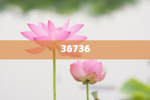 揭秘7777788888精準(zhǔn)新傳真，真相大揭秘，揭秘精準(zhǔn)新傳真背后的真相，77777與88888的神秘面紗被揭開