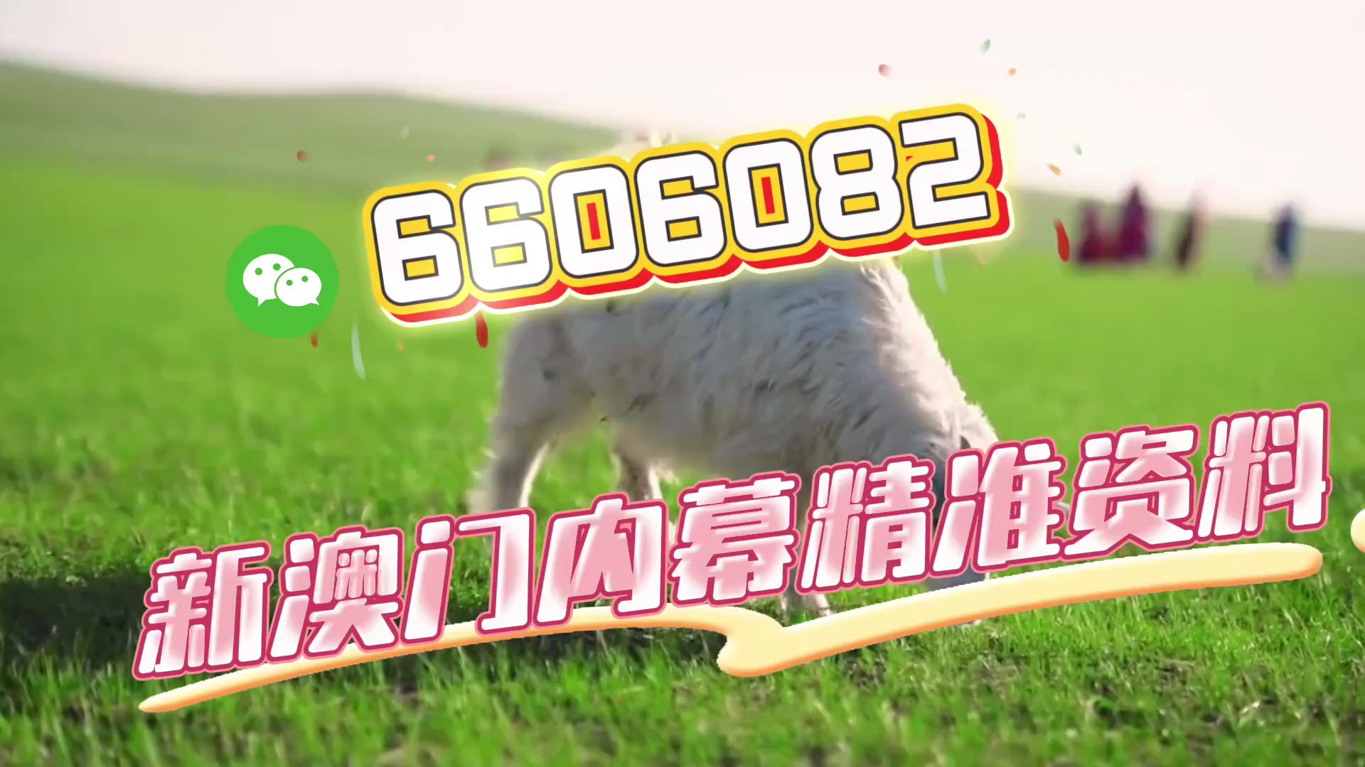 澳門必開一肖一碼，揭秘預(yù)測與安穩(wěn)策略，澳門必開一肖一碼揭秘與策略，預(yù)測與安穩(wěn)之道