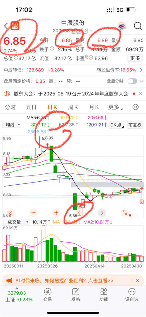 中辰股份股票，深度解析與前景展望，中辰股份股票深度解析及未來前景展望