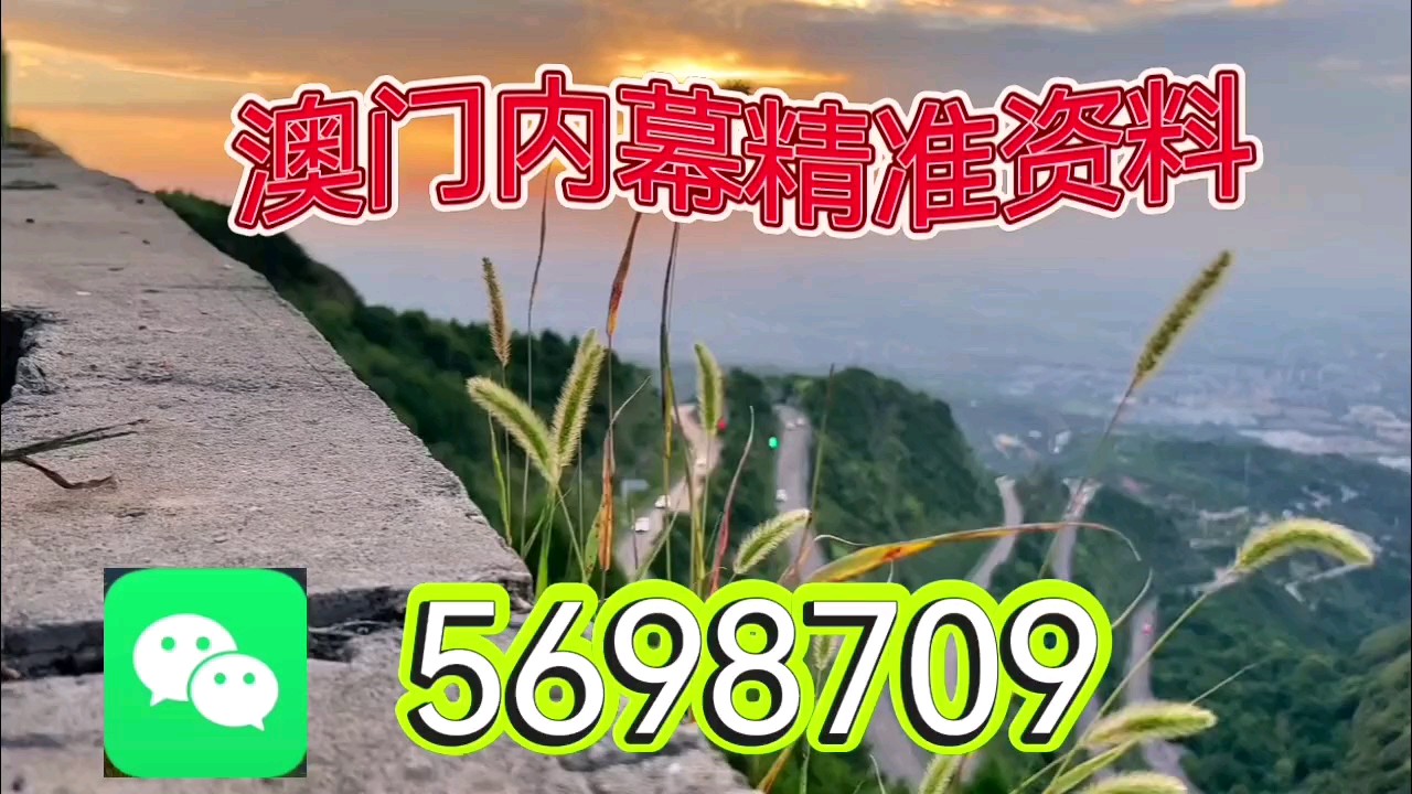新澳天天開(kāi)彩資料大全，探索彩票世界的奧秘，探索彩票世界奧秘，新澳天天開(kāi)彩資料大全
